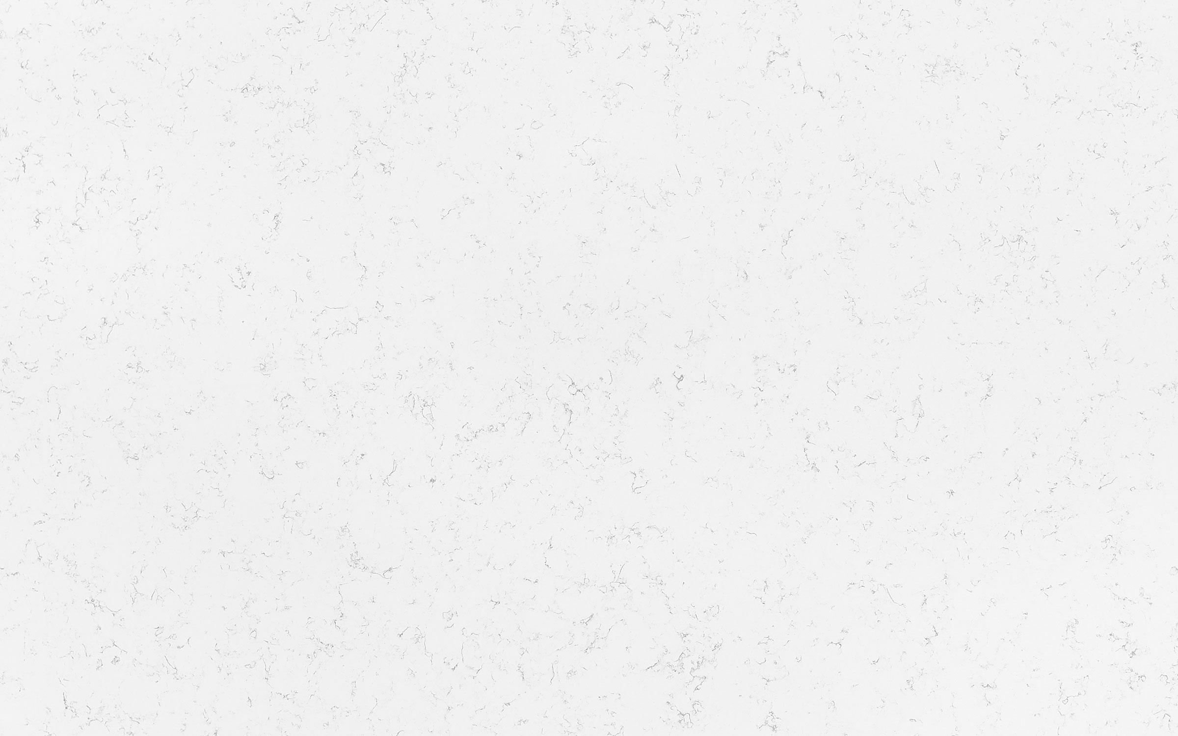 Quartz | Wilsonart - ST21 Wilsonart Carrara Codena (*Replacement for Haida) swatch