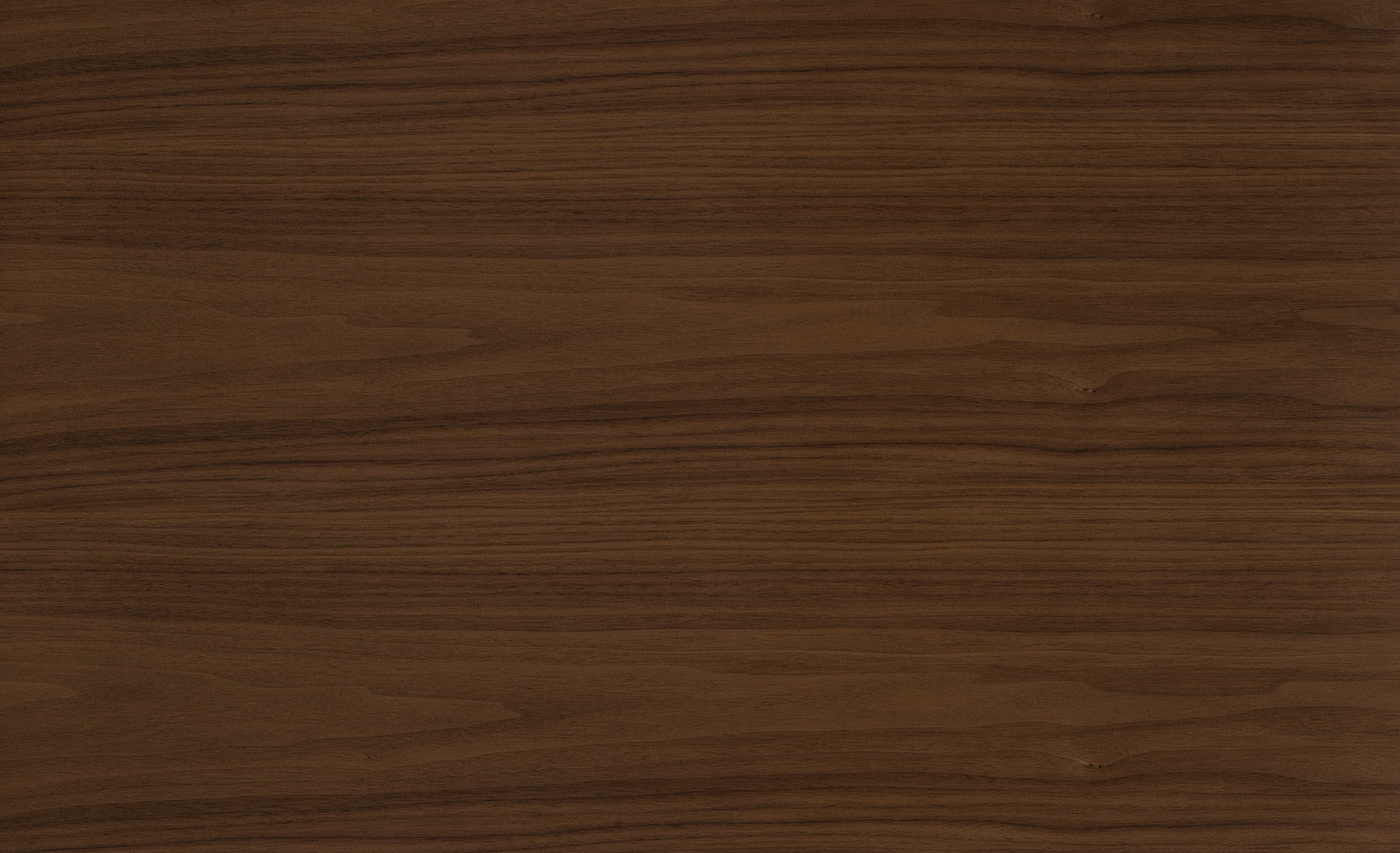 Walnut - G31 Otter Veneer swatch