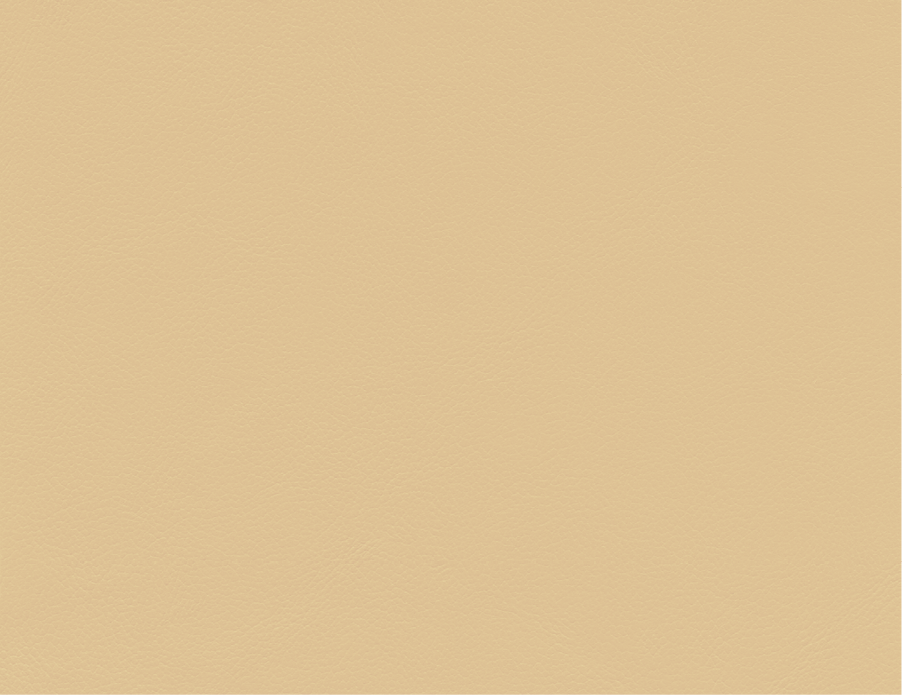 Vicenza | VZ | Grade E | Spinneybeck - VZ 2120 Appia Antica swatch