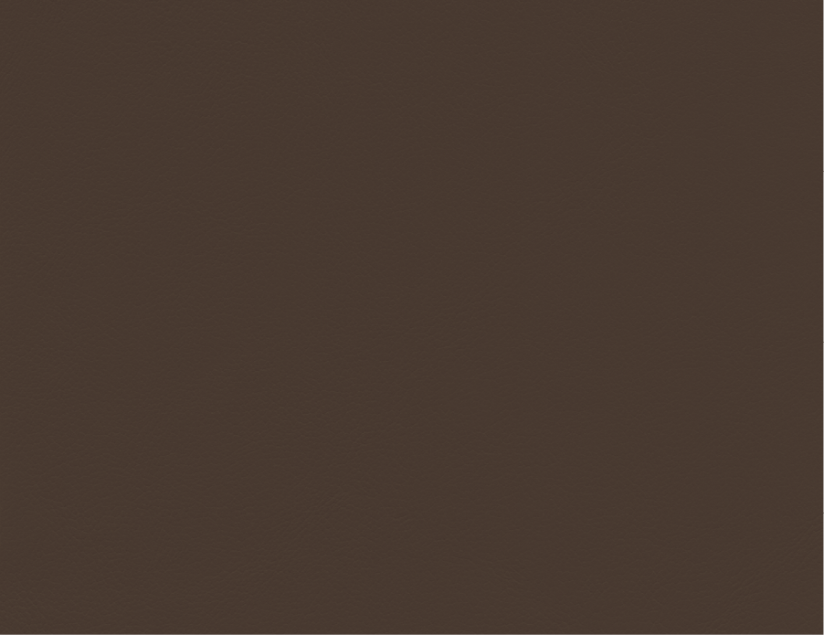Vicenza | VZ | Grade E | Spinneybeck - VZ 2116 Costozza swatch
