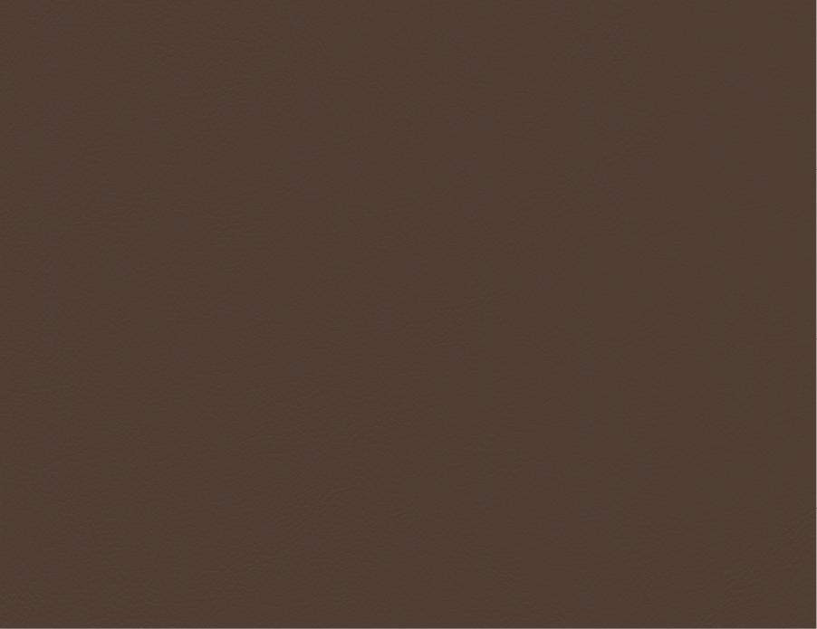 Vicenza | VZ | Grade E | Spinneybeck - VZ 2115 Peralolo swatch