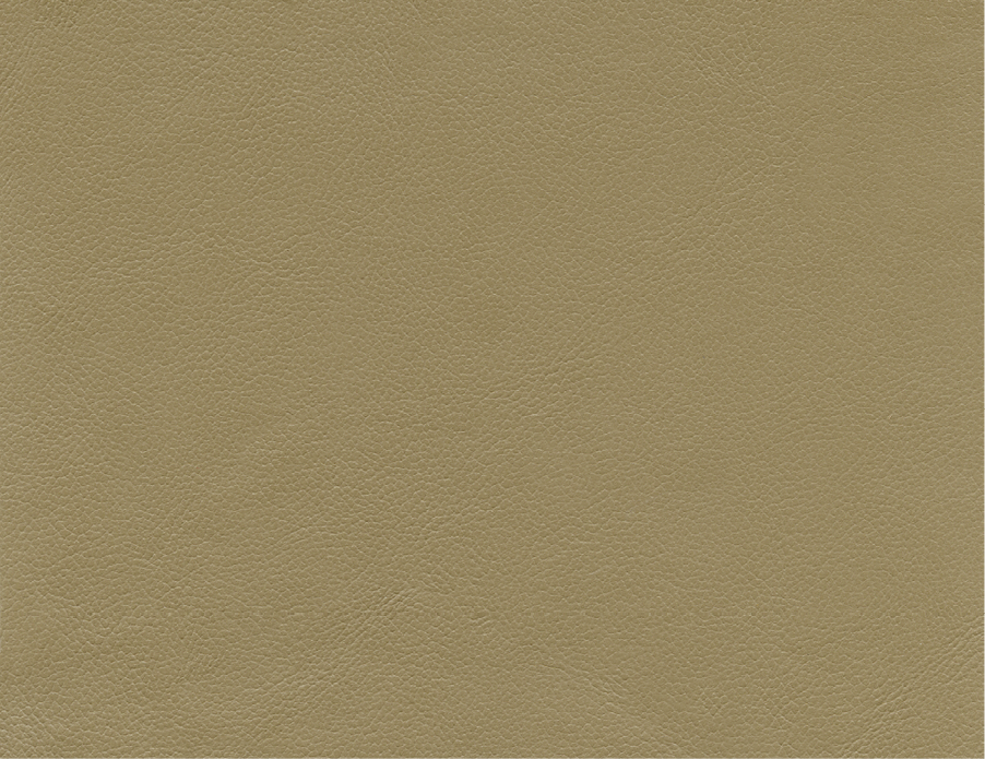 Vicenza | VZ | Grade E | Spinneybeck - VZ 2102 Ponte Furo swatch