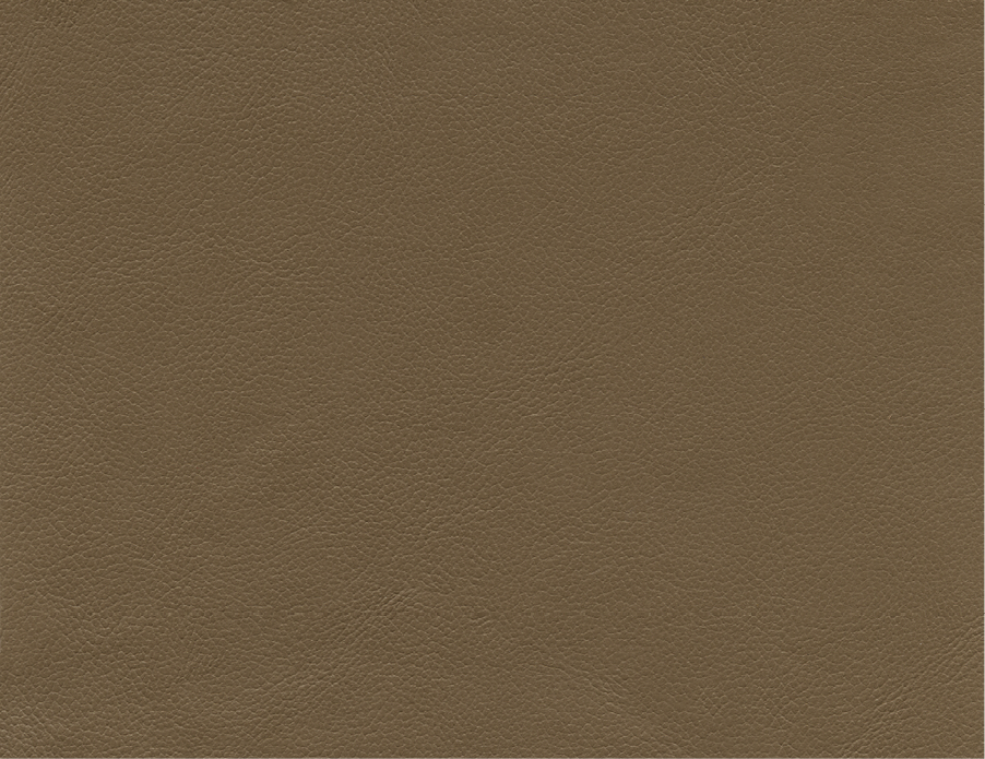Vicenza | VZ | Grade E | Spinneybeck - VZ 2101 Salvi swatch