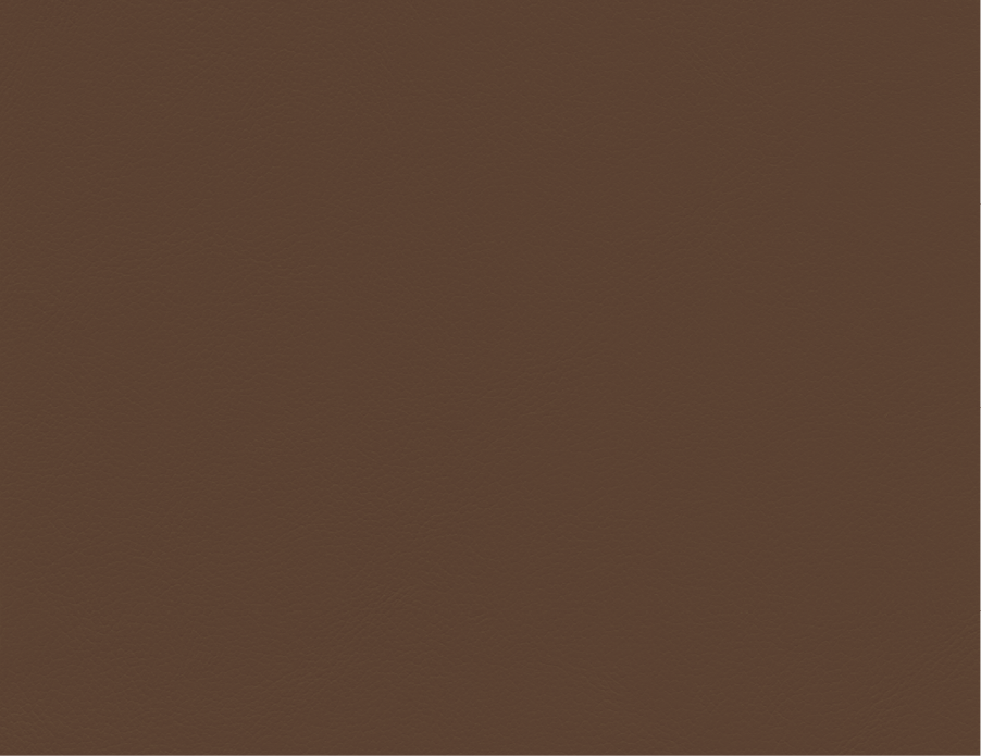 Vicenza | VZ | Grade E | Spinneybeck - VZ 2114 Scamozzi swatch