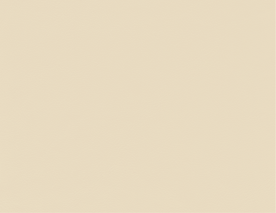 Vicenza | VZ | Grade E | Spinneybeck - VZ 2108 Villabalzana swatch