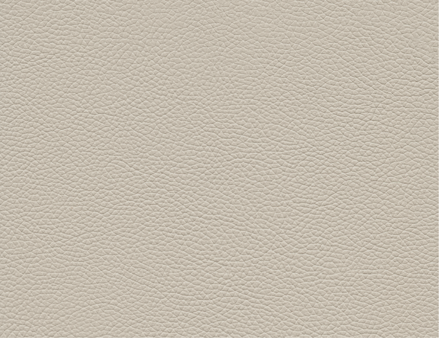 Volo | VO | Grade F | Spinneybeck - VO 960 Parchment swatch