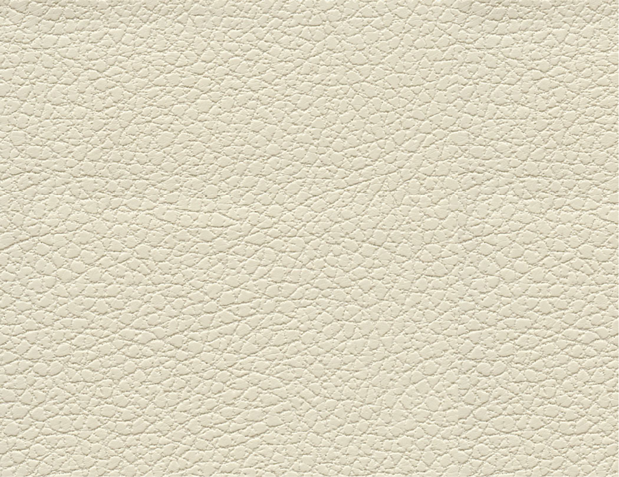 Brisa® | Original 533 | Grade B | UltraFabrics® - 3019 Birch swatch